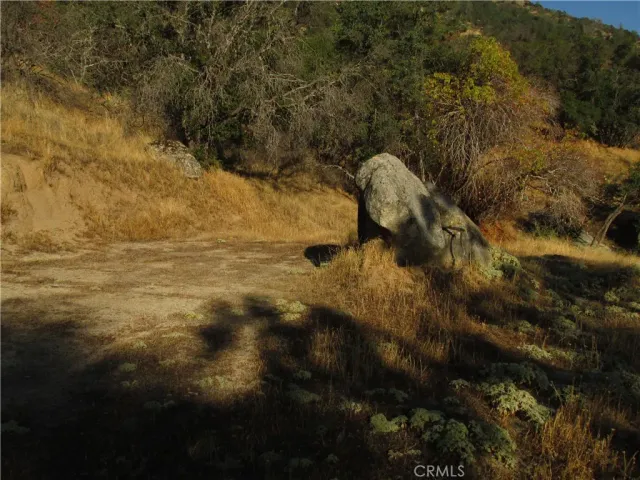 a view of back yard of the house
