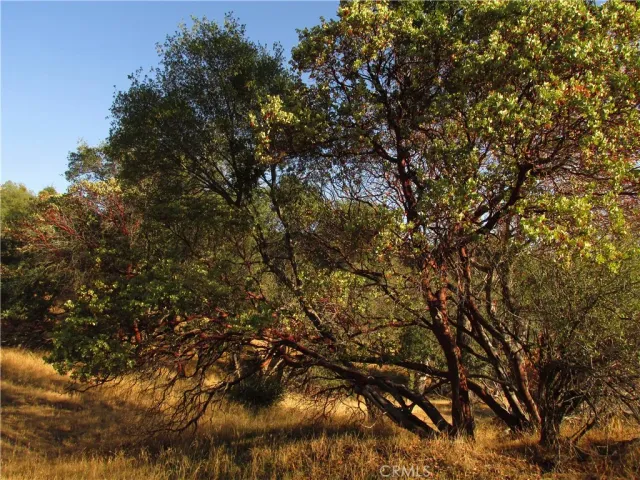 $39,500 | 2 Old Oaks Court, North Fork, CA 93643