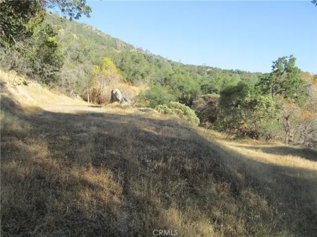 a view of a lake in middle of forest