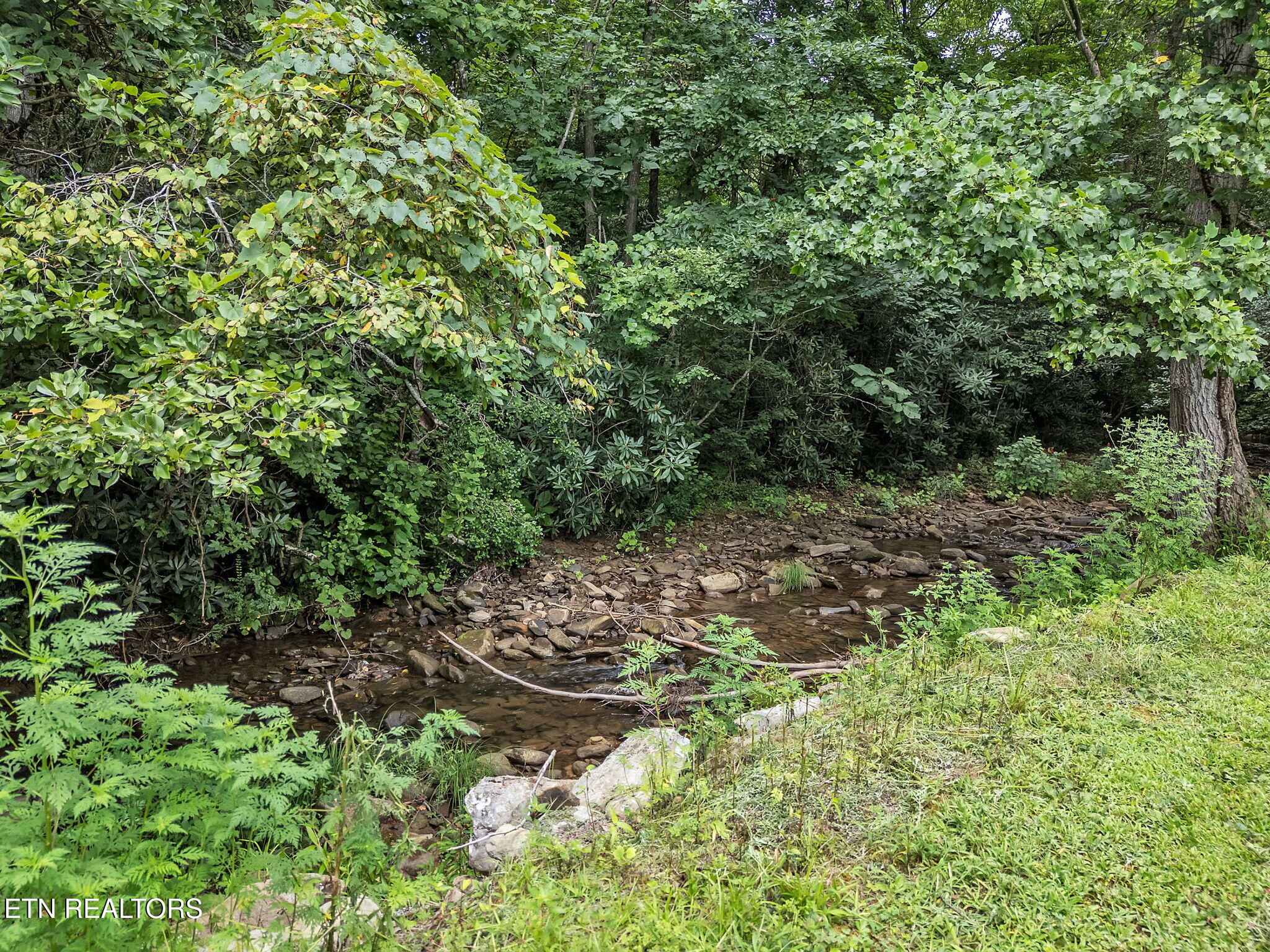 118 North Meredith Road Pioneer, TN 37847 - Photo 11 of 29 11-web-or-mls-118 Meredith--26