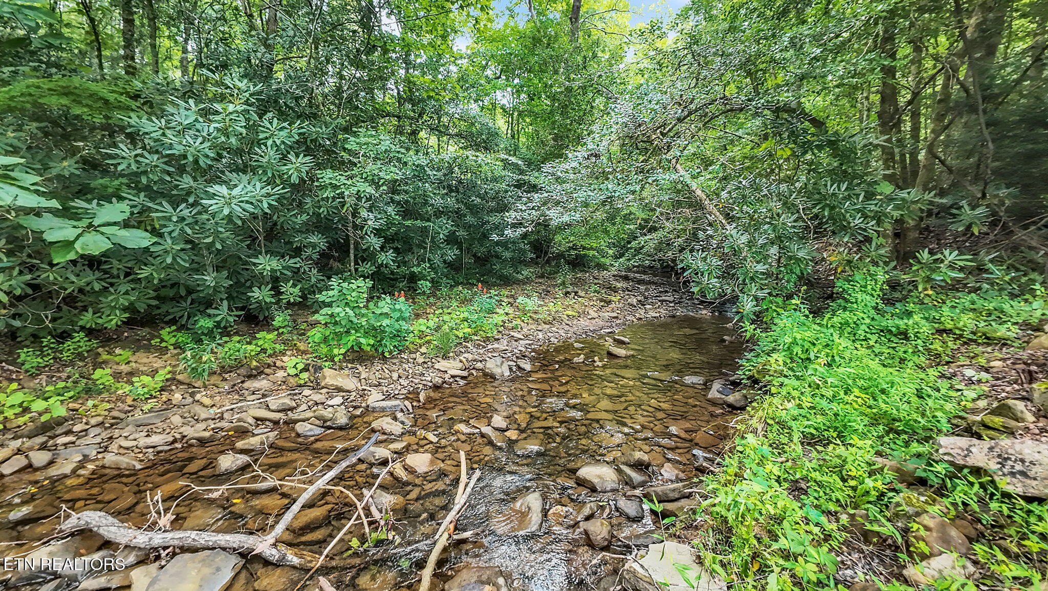 118 North Meredith Road Pioneer, TN 37847 - Photo 12 of 29 12-web-or-mls-118 Meredith-
