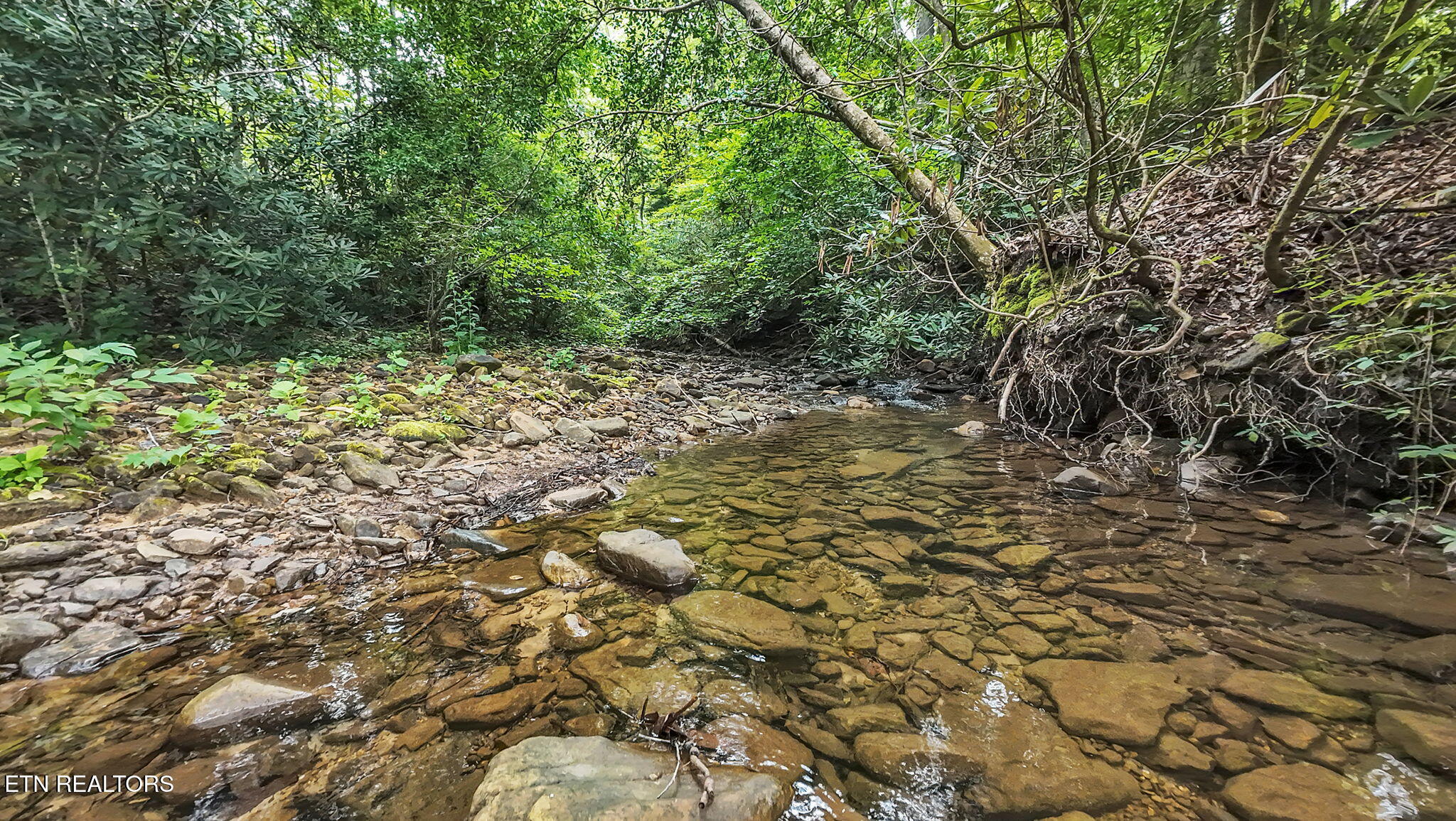 1-web-or-mls-118 Meredith--2