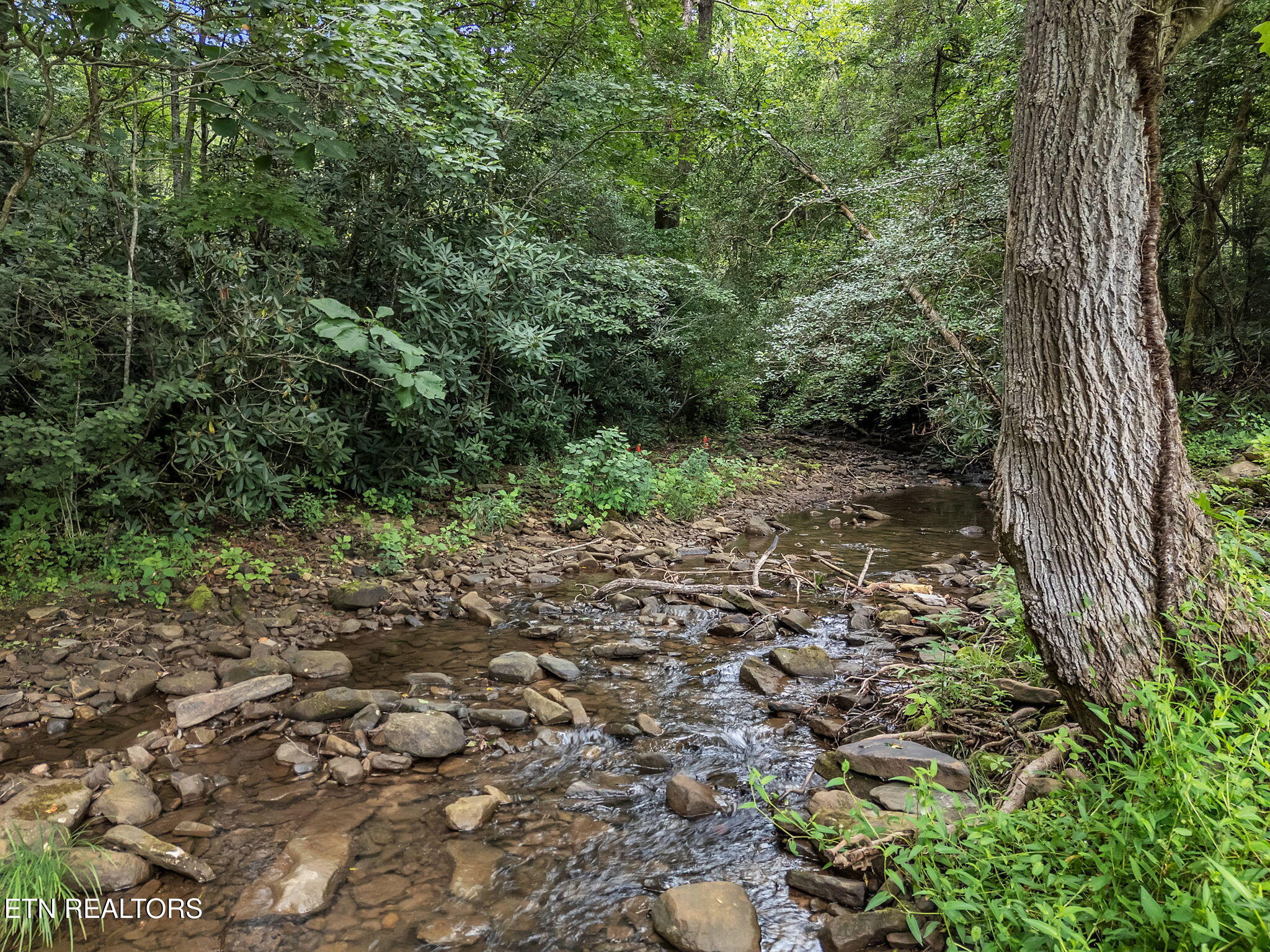 118 North Meredith Road Pioneer, TN 37847 - Photo 9 of 29 8-web-or-mls-118 Meredith--17