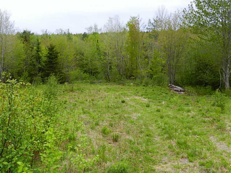 746 Todds Corner Road St. Albans, ME 04971 - Photo 21 of 21 Land.