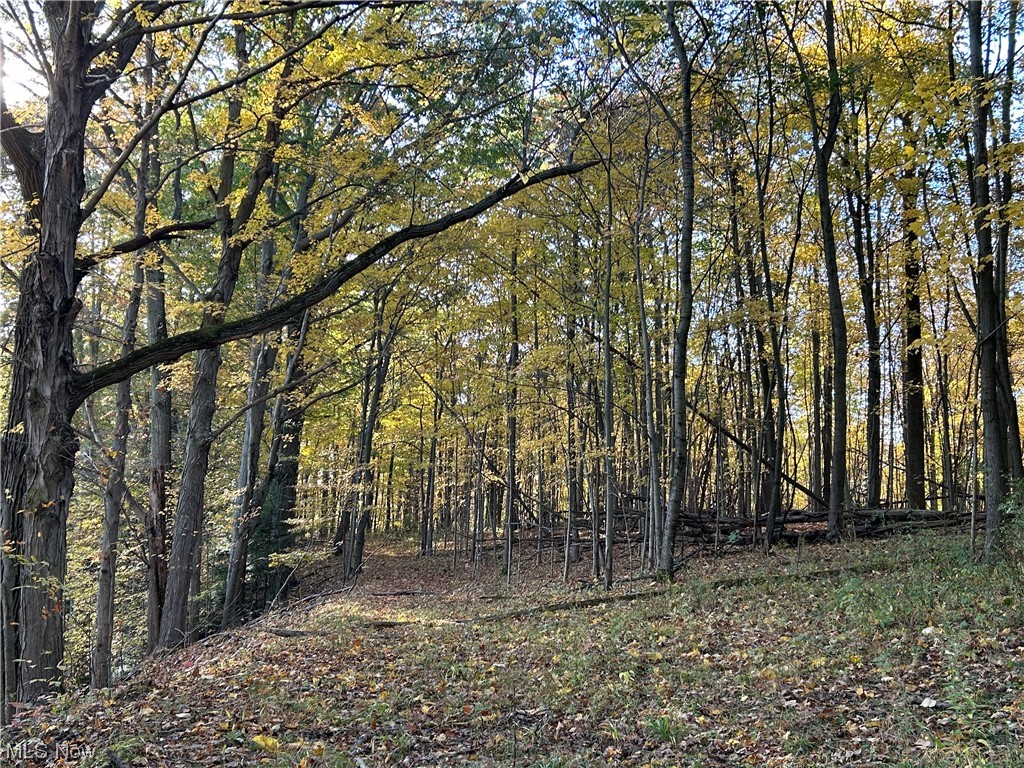 Vl South Ridge Road Conneaut, OH 44030 - Photo 27 of 35 View of local wilderness