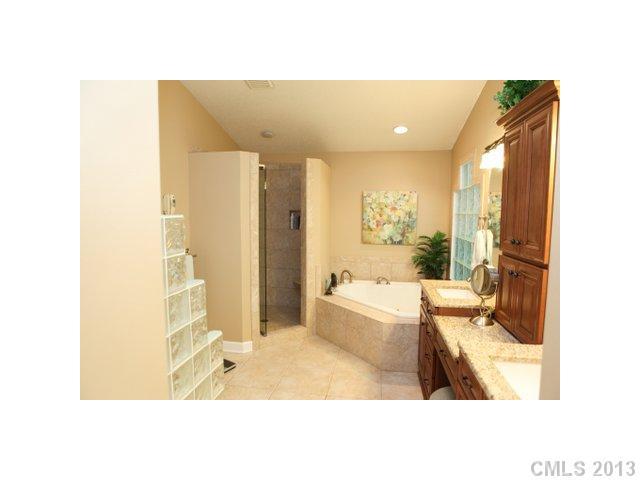 384 Oak Tree Road Mooresville, NC 28117 - Photo 8 of 16 Gallery Image 8
