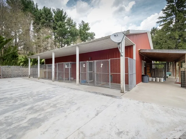 a backyard of a house with a tree