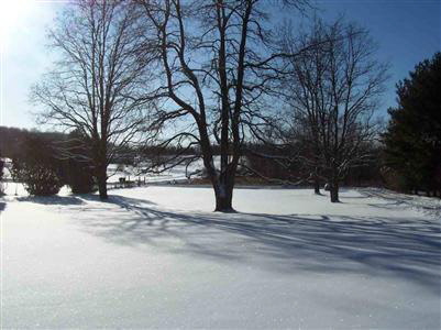 9195 Faussett Road Fenton, MI 48430 - Photo 2 of 4 20196440-1.JPG