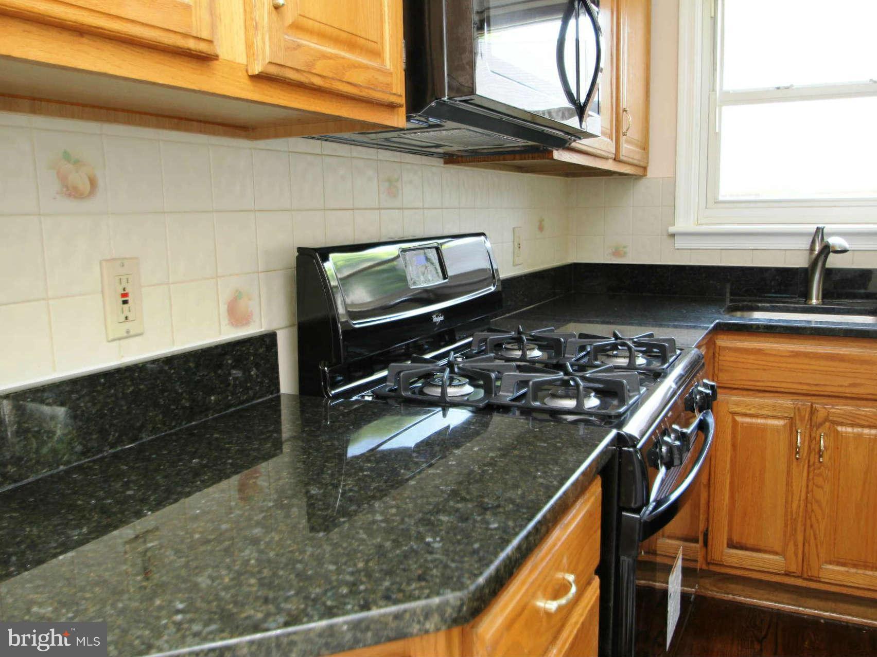 12603 Holdridge Road Silver Spring, MD 20906 - Photo 16 of 29 Kitchen