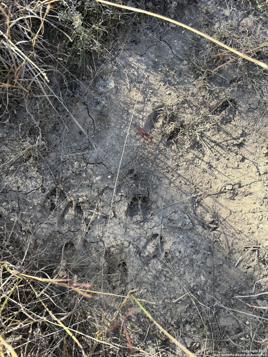 0 Dog Run Burnet, TX 78611 - Photo 12 of 16