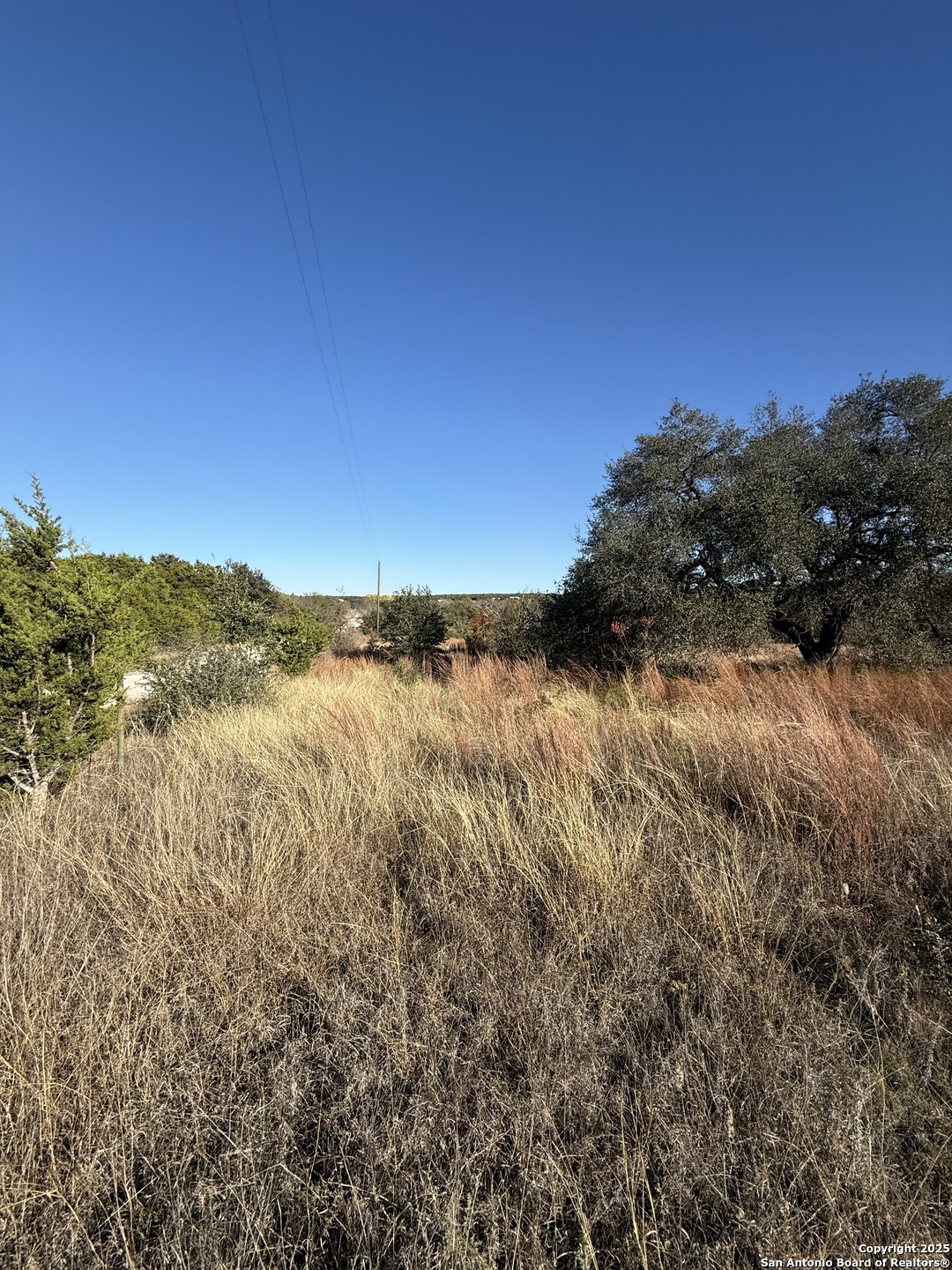0 Dog Run Burnet, TX 78611 - Photo 2 of 16