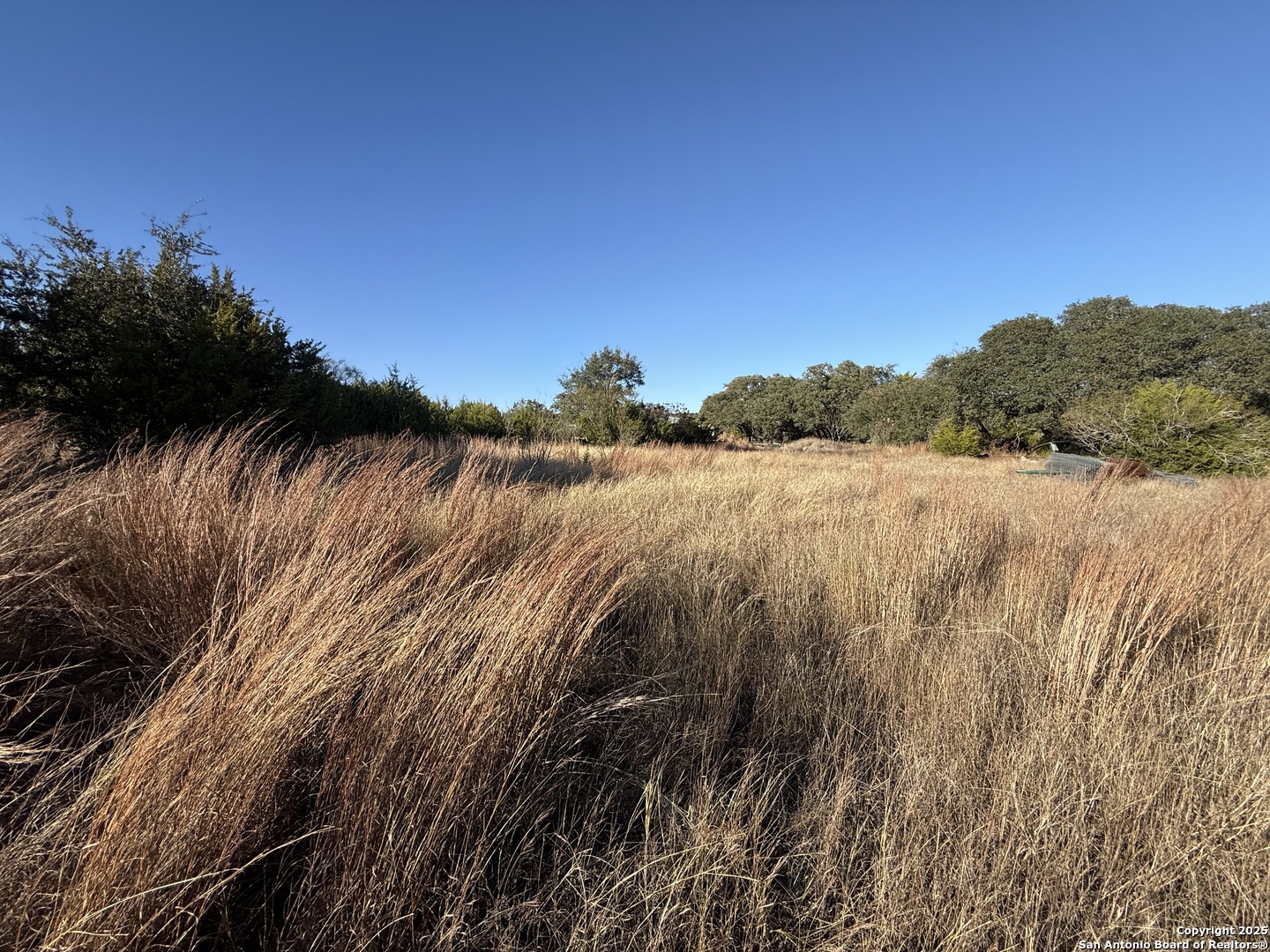 0 Dog Run Burnet, TX 78611 - Photo 5 of 16
