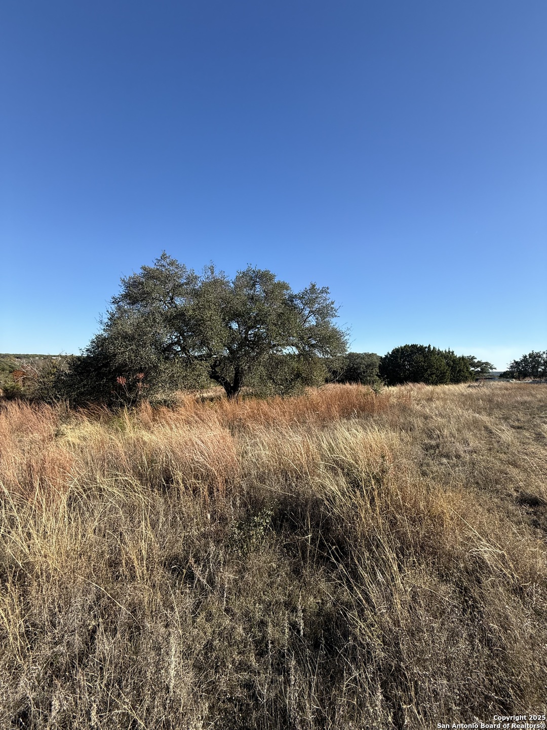 0 Dog Run Burnet, TX 78611 - Photo 6 of 16