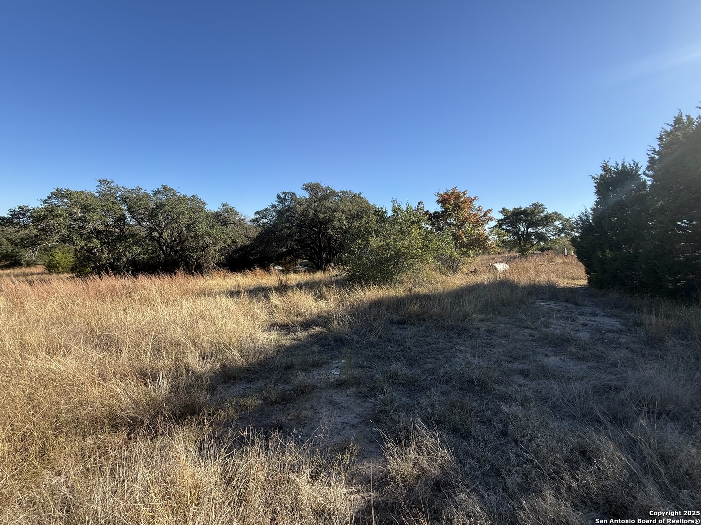 0 Dog Run Burnet, TX 78611 - Photo 9 of 16