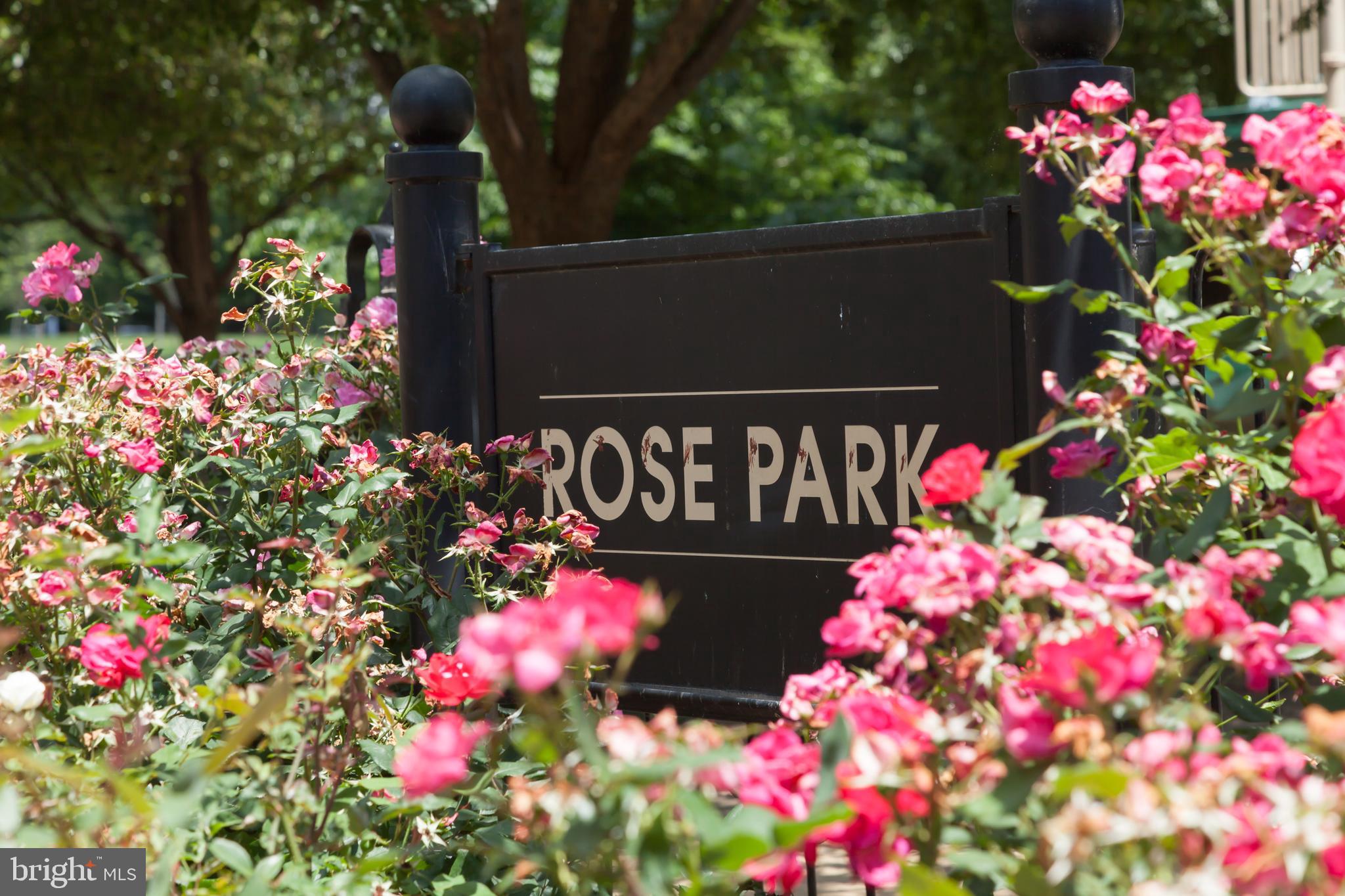 1342 27th Street Northwest Washington, DC 20007 - Photo 22 of 29 Community