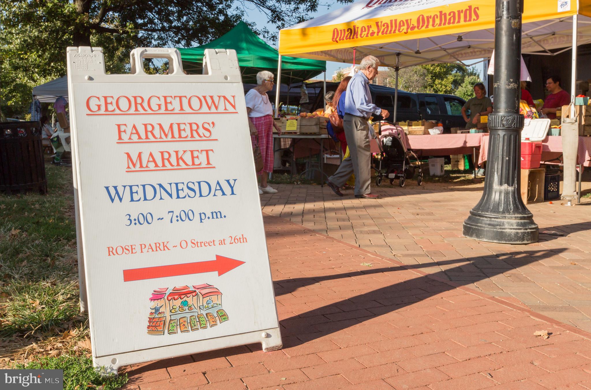 1342 27th Street Northwest Washington, DC 20007 - Photo 24 of 29 Community