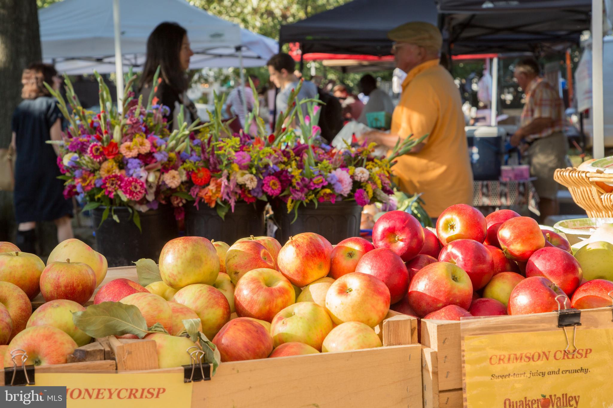 1342 27th Street Northwest Washington, DC 20007 - Photo 25 of 29 Community