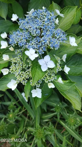 $205,000 | 3626 Highway 24, Sandersville, GA 31082