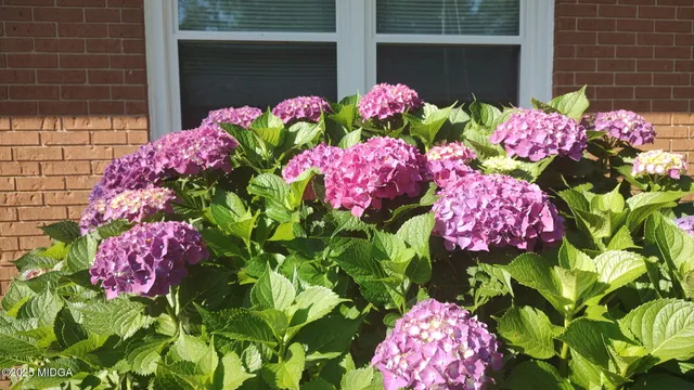 $205,000 | 3626 Highway 24, Sandersville, GA 31082