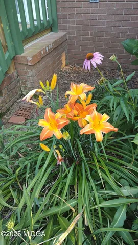 $205,000 | 3626 Highway 24, Sandersville, GA 31082