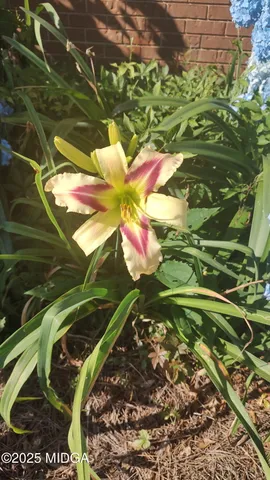 $205,000 | 3626 Highway 24, Sandersville, GA 31082