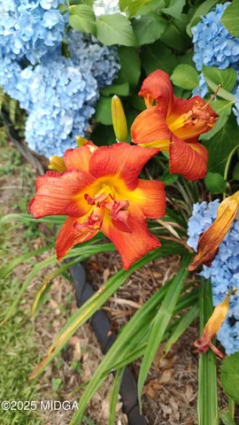 $205,000 | 3626 Highway 24, Sandersville, GA 31082