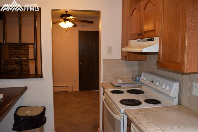 4306 Mallow Road Colorado Springs, CO 80907 - Photo 8 of 14