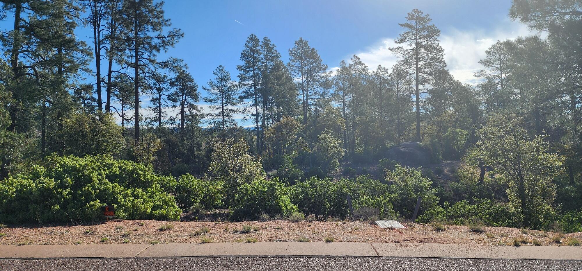 -- East Phoenix Street Payson, AZ 85541 - Photo 4 of 17 a view of a yard with plants and trees