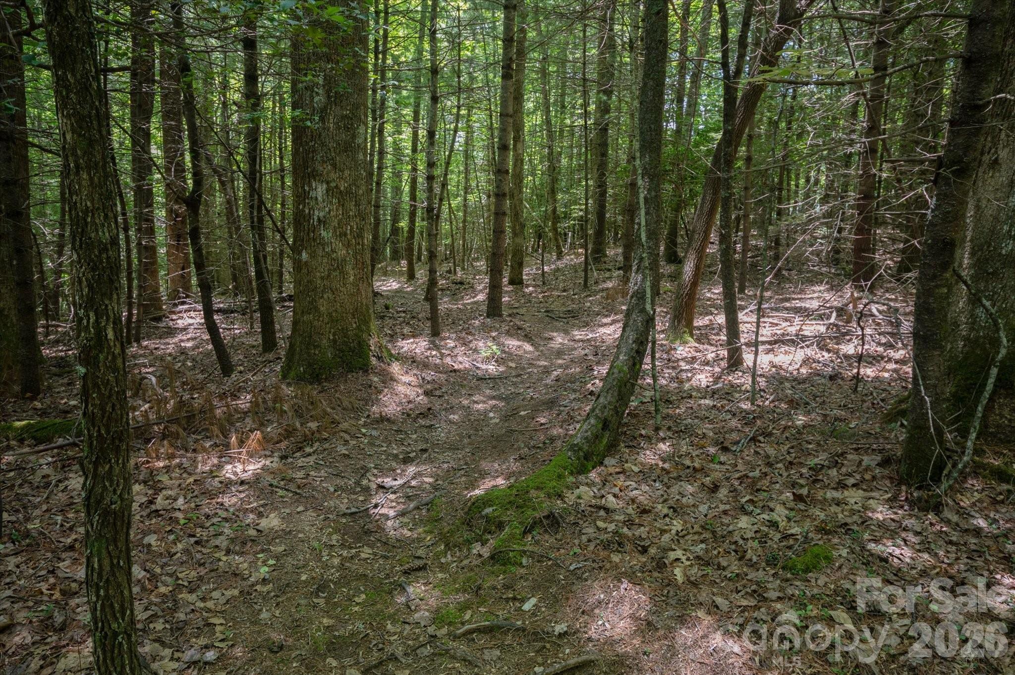 Tbd Reserve Road, Unit 16 Pisgah Forest, NC 28768 - Photo 17 of 18