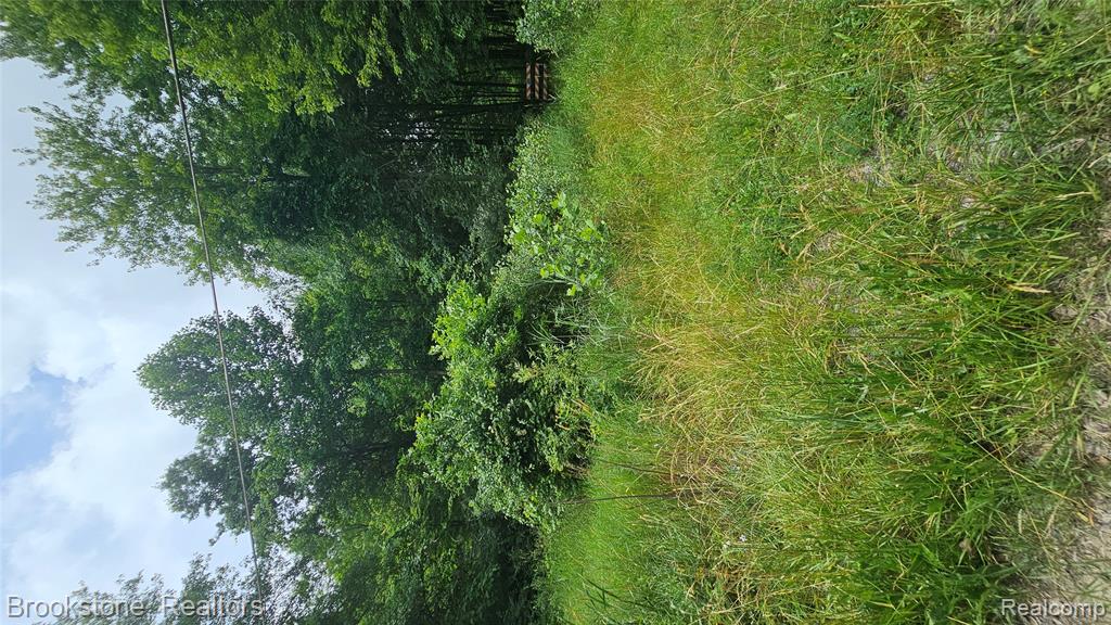 0 Bunton Road Willis, MI 48191 - Photo 3 of 15