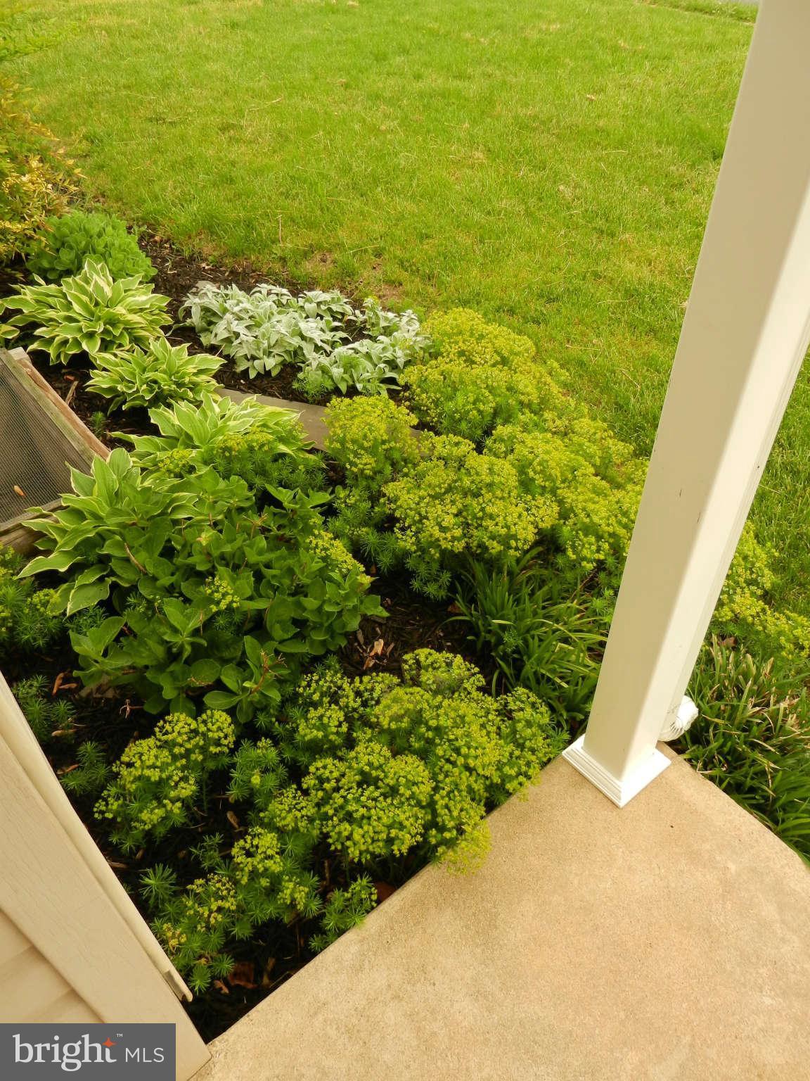 3110 Cornwall Road Baltimore, MD 21222 - Photo 22 of 28 a view of a garden