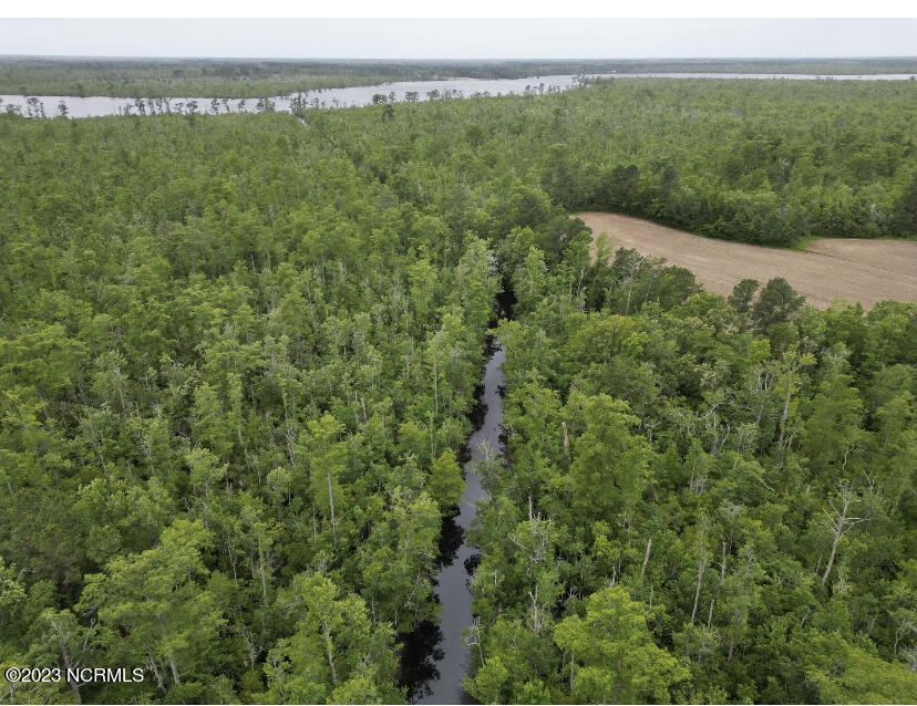 421 Riverneck Road Columbia, NC 27925 - Photo 3 of 5 8481B059-E540-4909-B005-2F1BC27E3FE3
