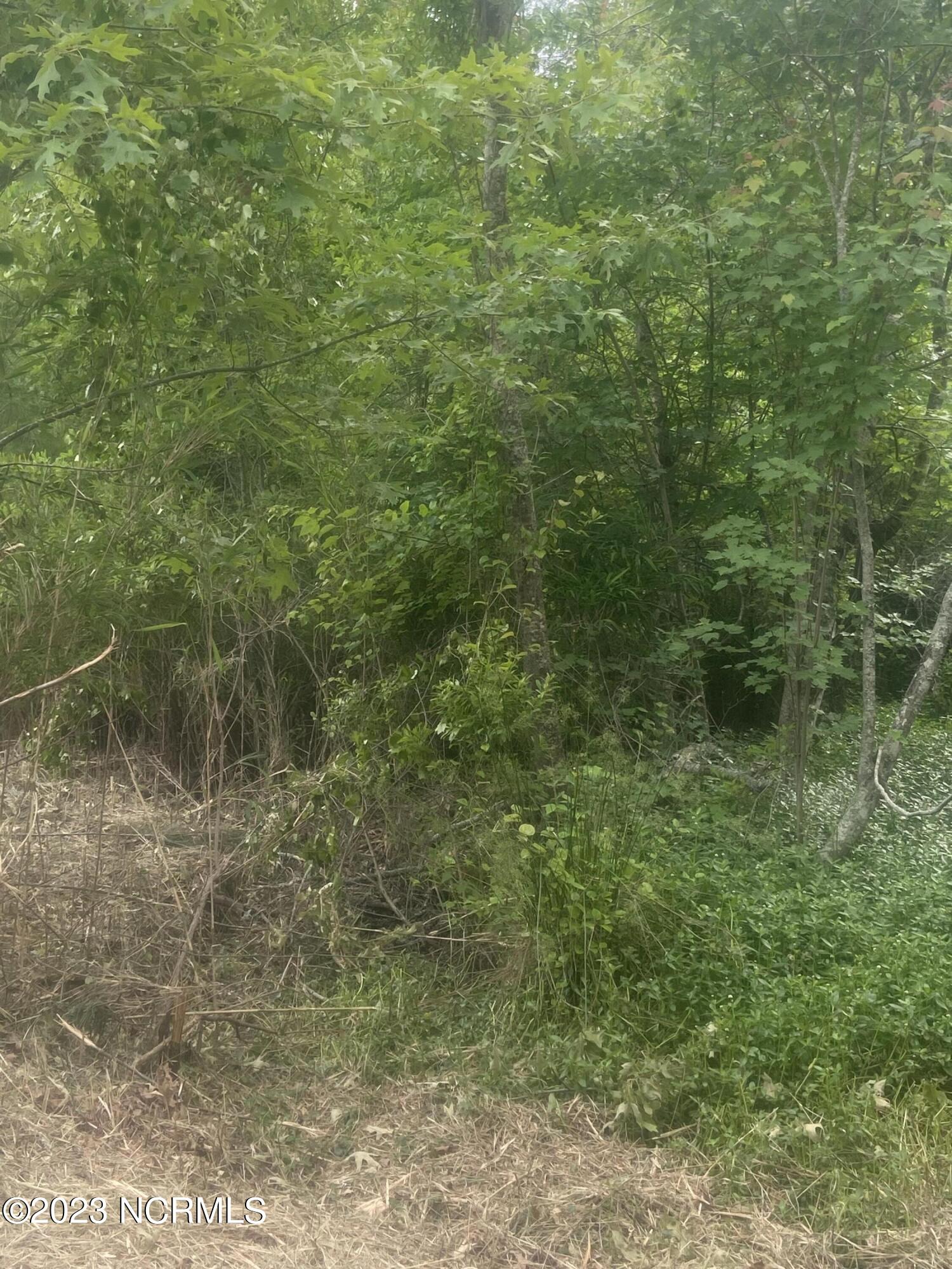 421 Riverneck Road Columbia, NC 27925 - Photo 4 of 5 305F9EA6-B7CB-4FF0-A68B-4052B958C13F