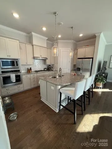 a kitchen with a sink a counter space appliances and cabinets