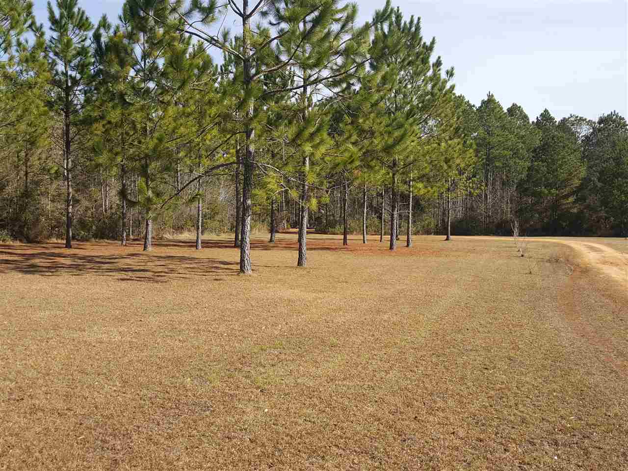 757 Floyd Johnston Road McIntosh, AL 36553 - Photo 23 of 27