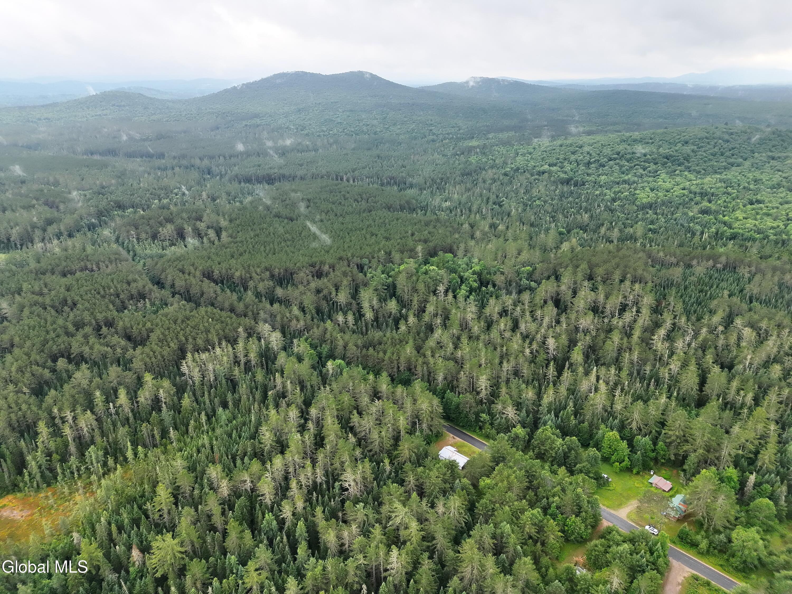 1095 Oregon Plains Road Franklin, NY 12989 - Photo 13 of 41 org_2455596b4da77702_1752783930000