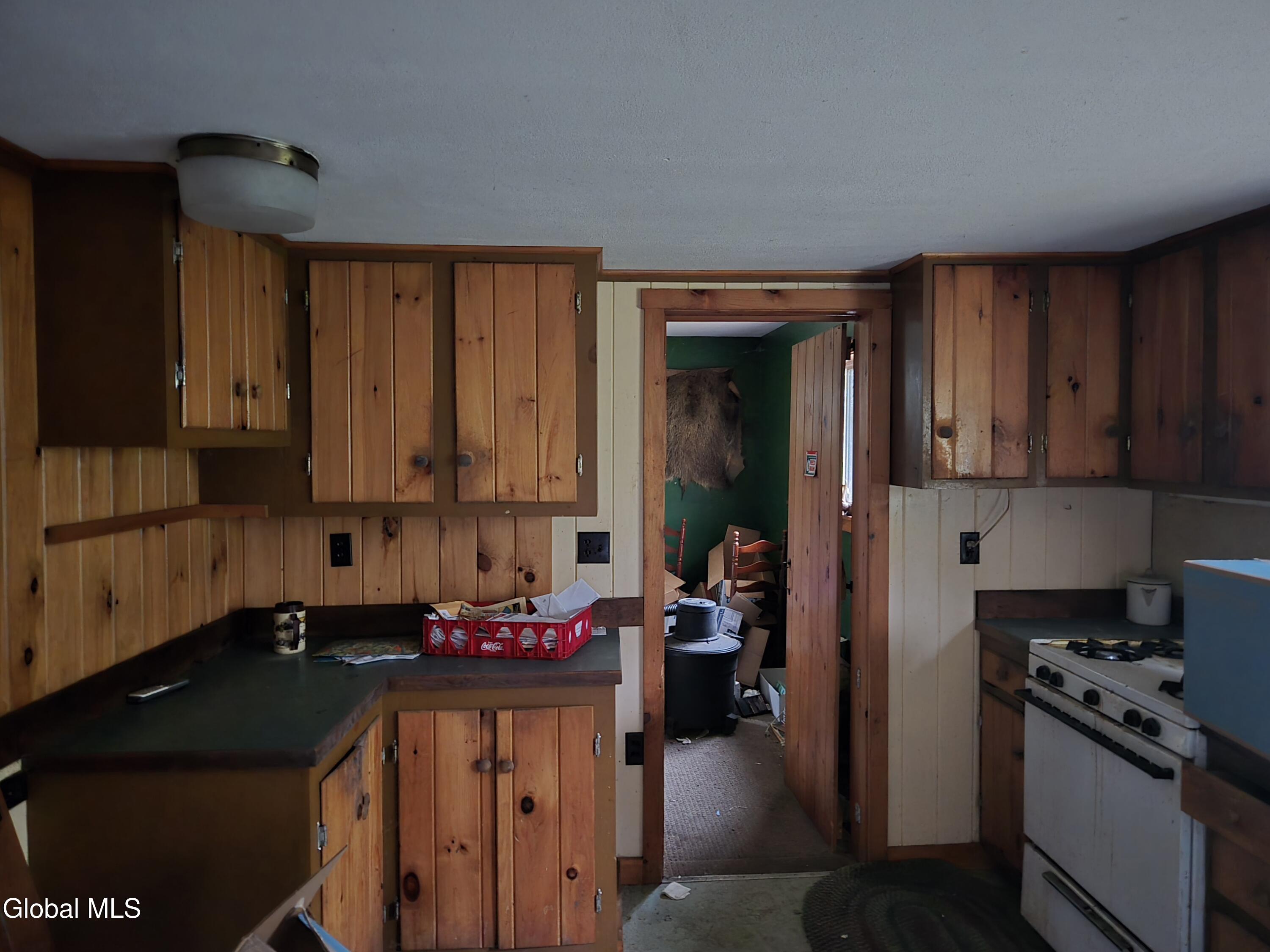 1095 Oregon Plains Road Franklin, NY 12989 - Photo 30 of 41 20250717_153329