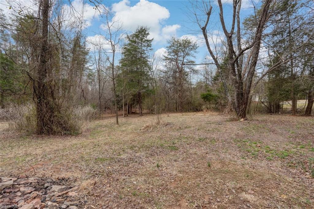 260 Pepper Road Reidsville, NC 27320 - Photo 37 of 42 Gallery Image 37