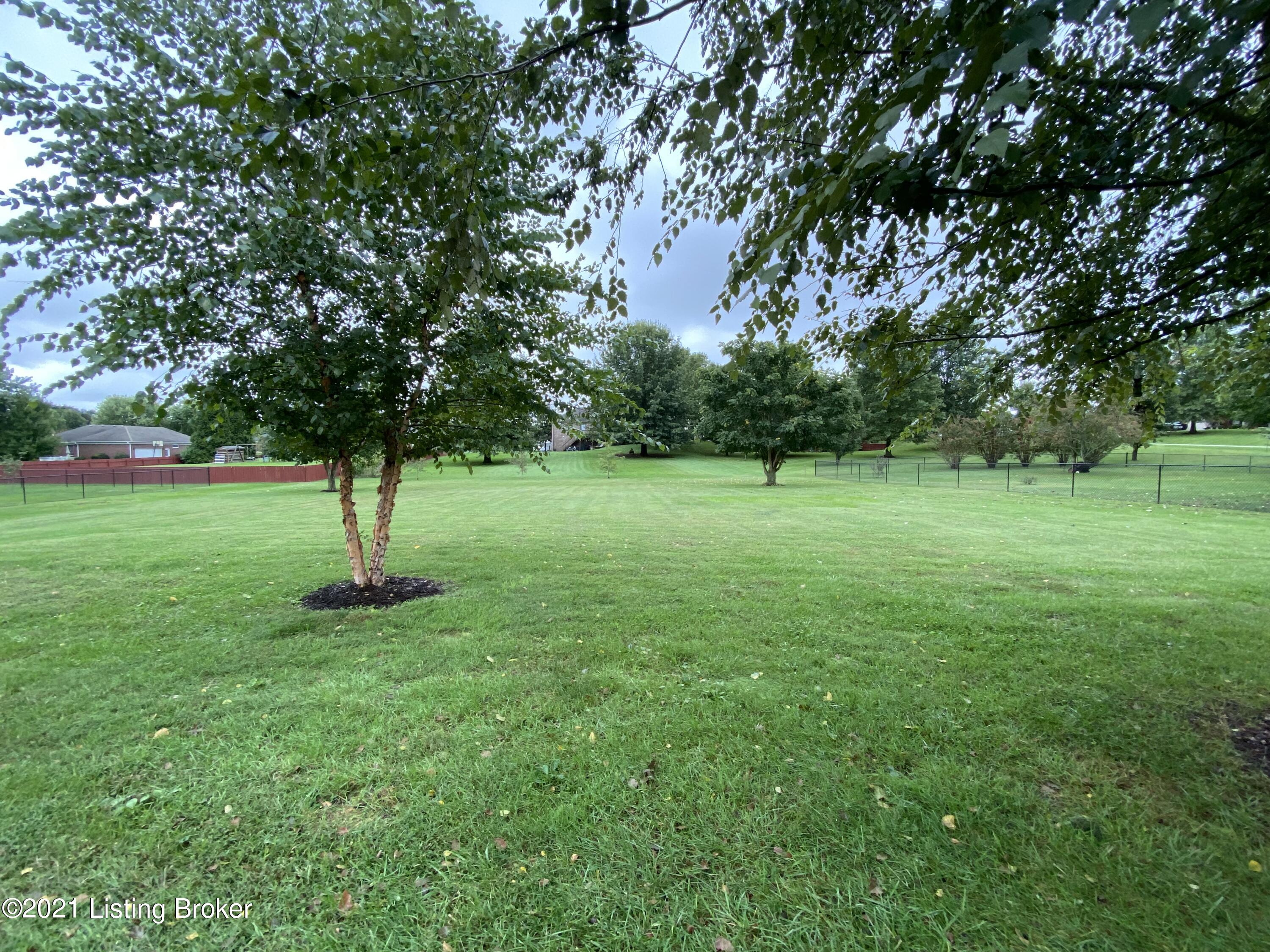 200 Ed Pile Road Bardstown, KY 40004 - Photo 29 of 31 Large Back yard with trees.