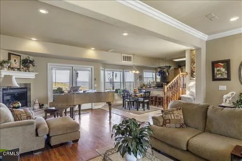 a living room with furniture potted plant and a large window
