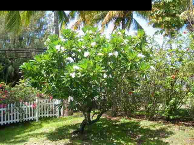 4948 Lower Honoapiilani Road Lahaina, HI 96761 - Photo 21 of 28 Gallery Image 21