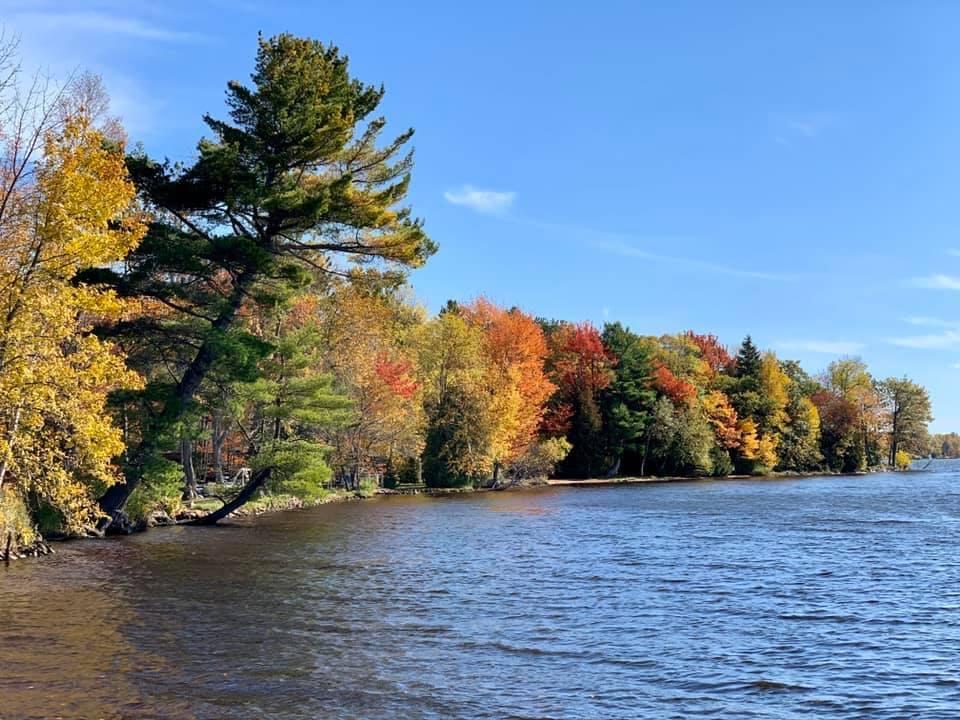 4354 South Bay Mills Point Road Brimley, MI 49715 - Photo 50 of 52 Gallery Image 50