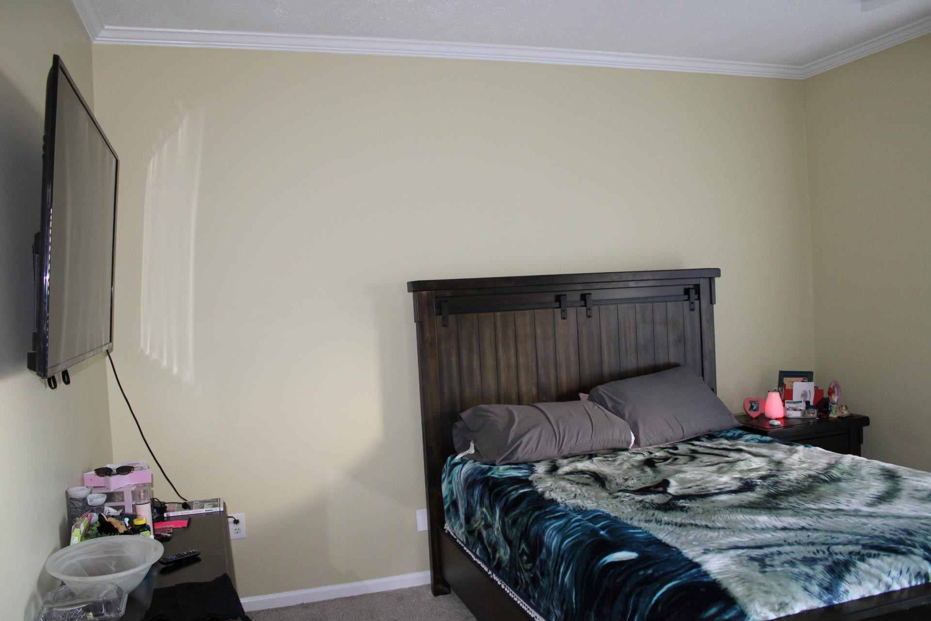 3346 Mt Pleasant Road Willow Spring, NC 27592 - Photo 50 of 50 Photo 50
