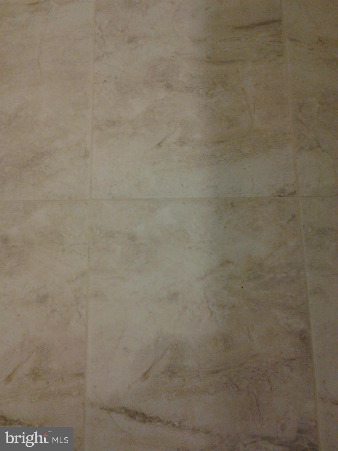 1627 Riedel Road Crofton, MD 21114 - Photo 17 of 22 Bath Floor