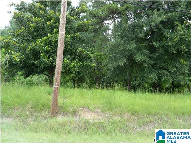 10220 County Line Road, Unit 1 Empire, AL 35063 - Photo 1 of 1