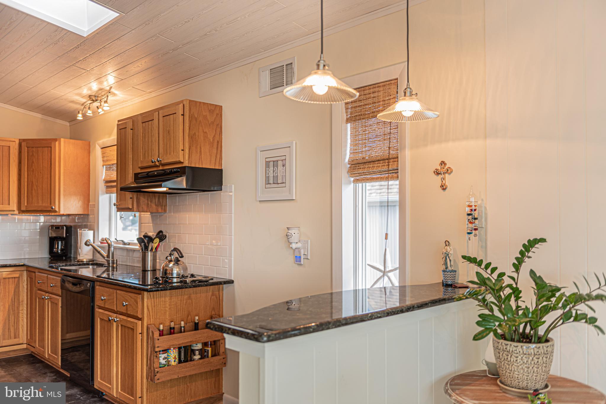 705 South Surf Road Ocean City, MD 21842 - Photo 34 of 98 Gallery Image 34