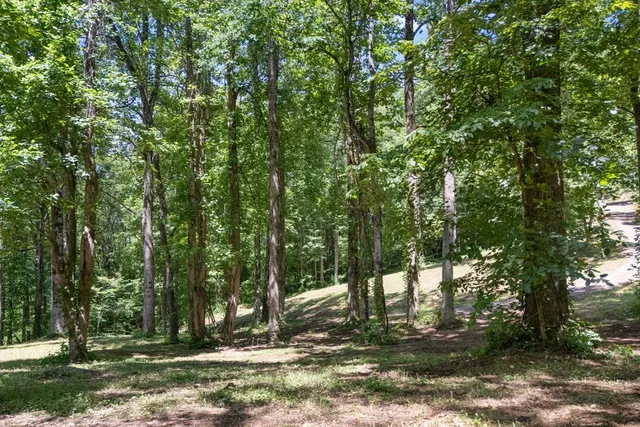 $950,000 | 1 Lories Mtn Drive, Hayesville, NC 28904