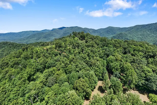 $950,000 | 1 Lories Mtn Drive, Hayesville, NC 28904