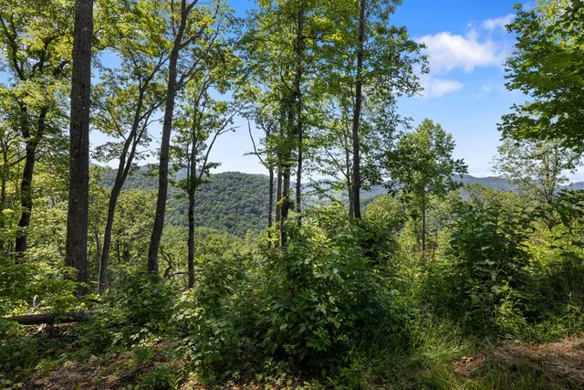 $950,000 | 1 Lories Mtn Drive, Hayesville, NC 28904