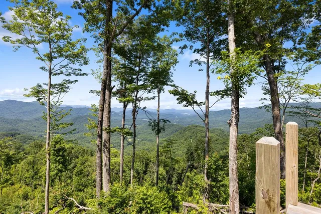 $950,000 | 1 Lories Mtn Drive, Hayesville, NC 28904